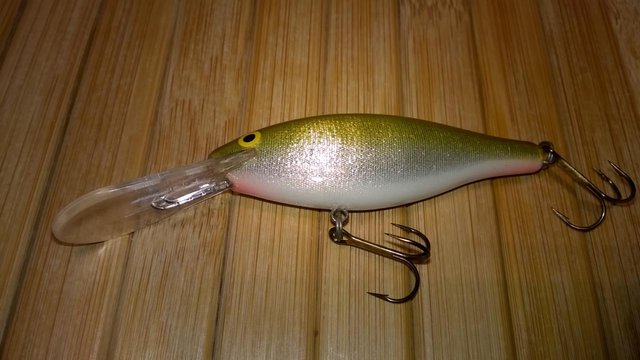 WP_20160223_008.jpg