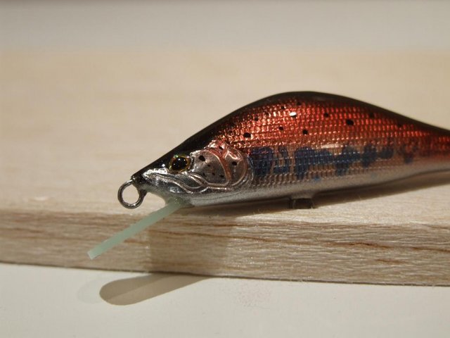DSCF9980.JPG