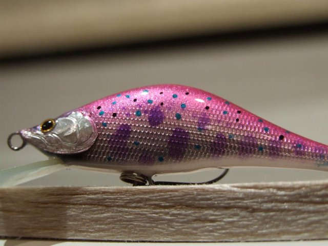 DSCF9986.JPG
