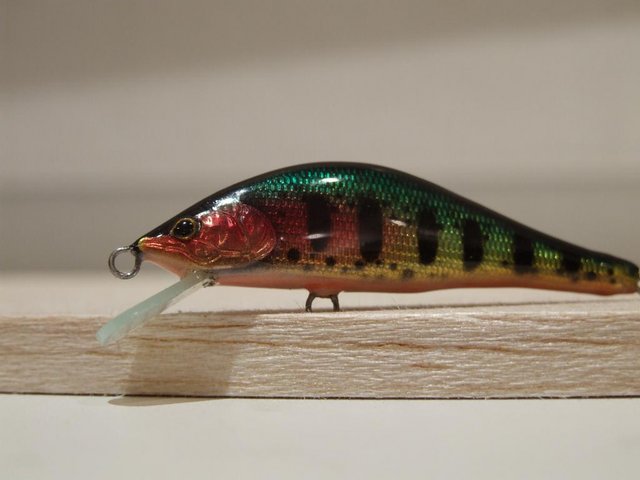 DSCF9982.JPG