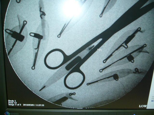 P1040093.JPG (77.06 КБ) 2416 просмотров абра-кадабра