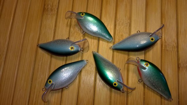 WP_20160307_003.jpg
