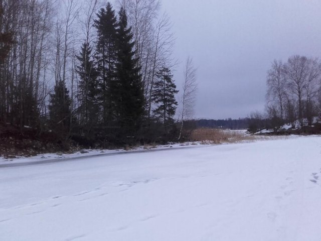 20160310_181927.jpg (78.48 КБ) 8973 просмотра 20160310_181927.jpg