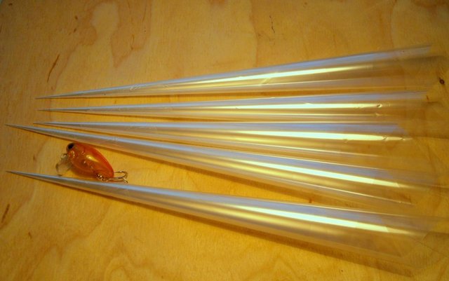 3-P3150188.JPG