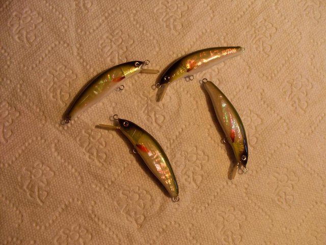 SDC11155.JPG