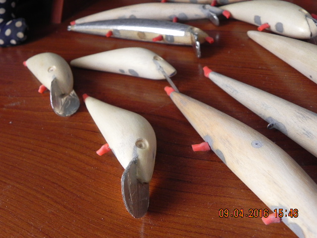 DSCN1395.JPG