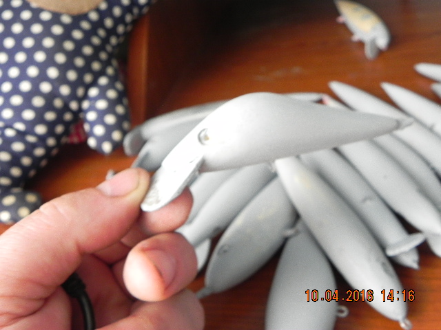 DSCN1398.JPG