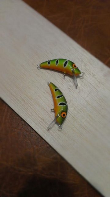 IMAG0510.jpg