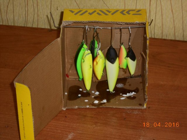 DSCN1002.JPG