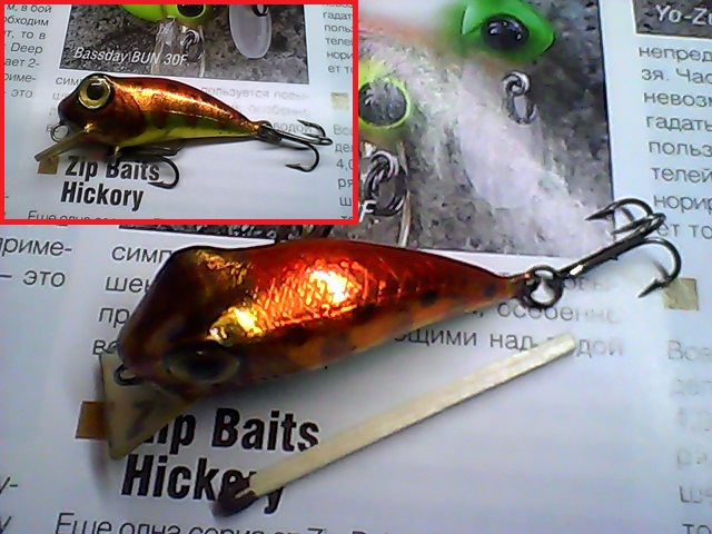 Snapshot_20110421_13.jpg