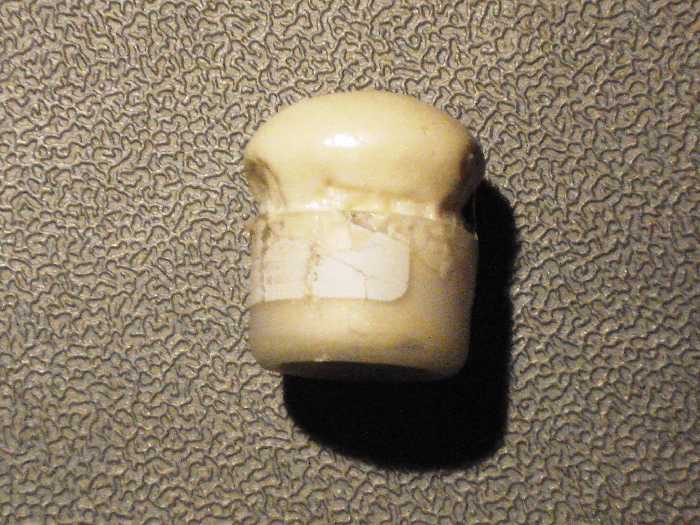 DSC04411_thumb.jpg