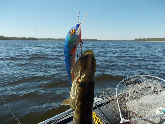DSCN7967.JPG