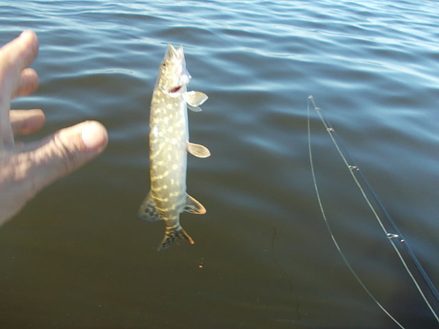 DSCN7954.JPG