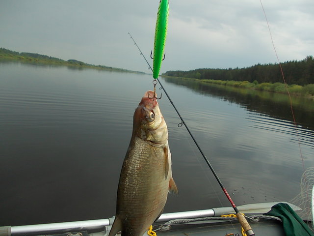 DSCN8054.JPG