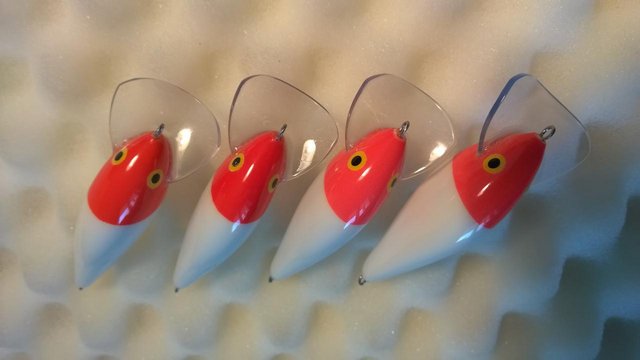 WP_20160517_001.jpg