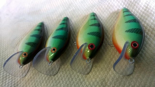 WP_20160524_006.jpg