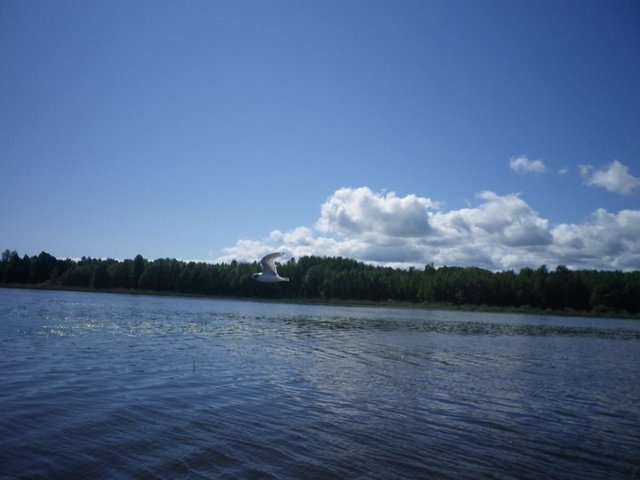 IMGP3019.JPG