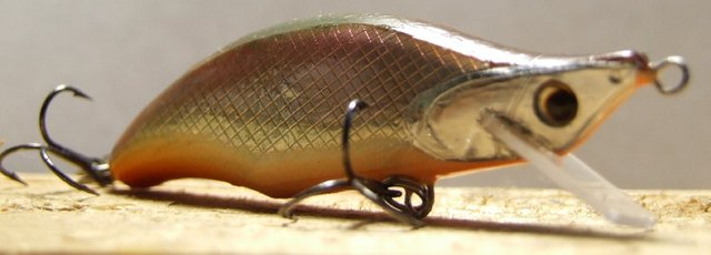 DSCF2181.JPG