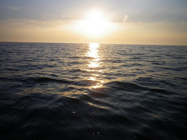 IMGP3074.JPG