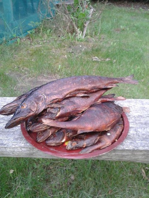 20160623_194614.jpg