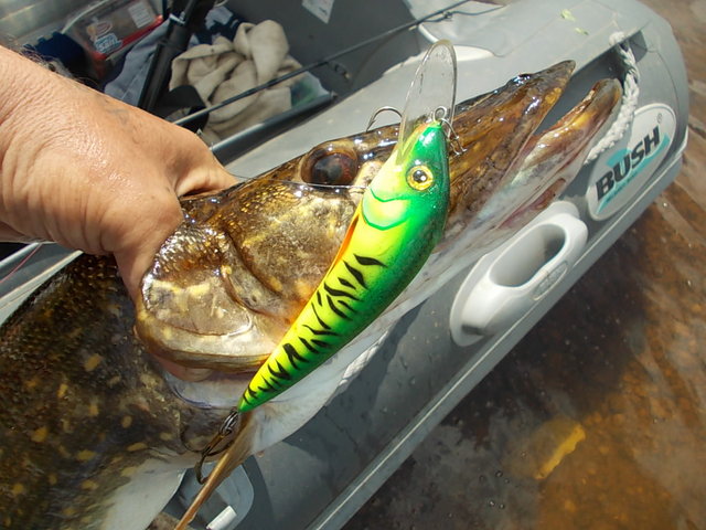 DSCN8267.JPG