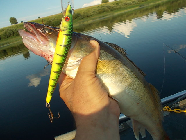 DSCN8270.JPG