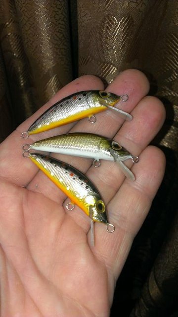 IMAG0790.jpg
