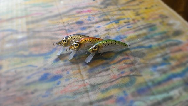 IMAG0769.jpg