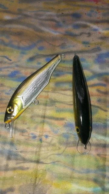 IMAG0835.jpg