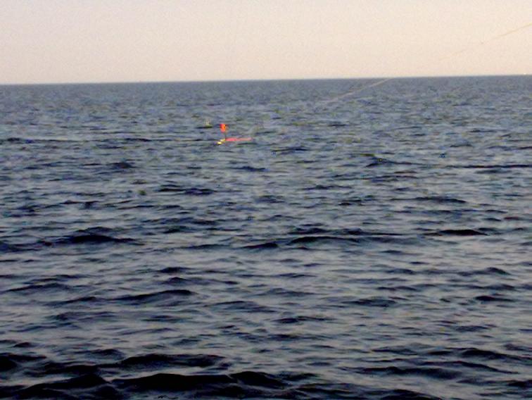 230420111236.jpg