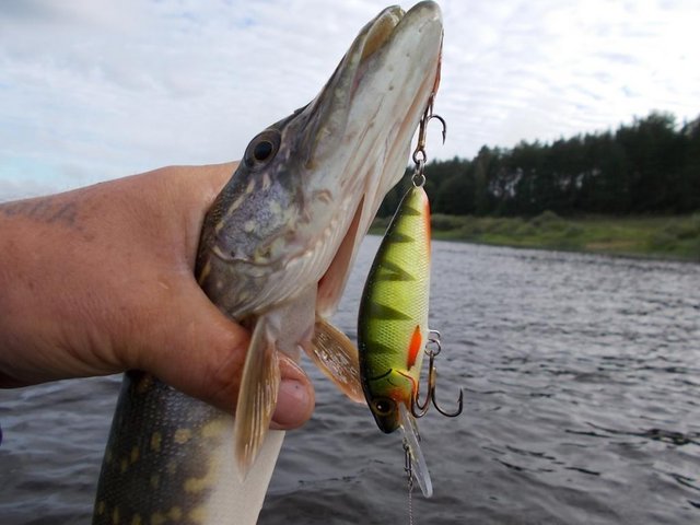 DSCN8327.JPG