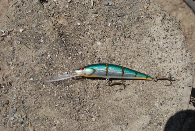 DSC_0584.JPG