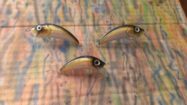 IMAG0879.jpg
