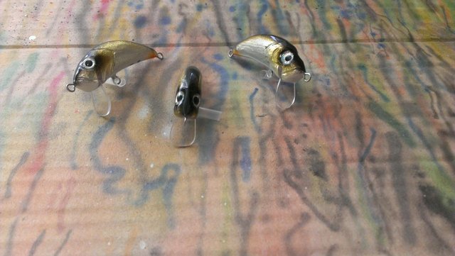 IMAG0885.jpg