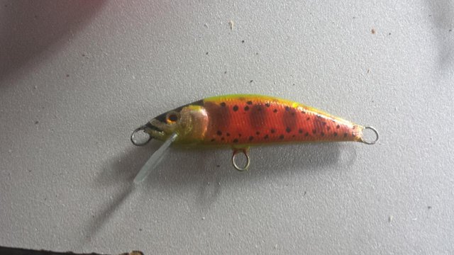 IMG-20160730-WA0029.jpeg