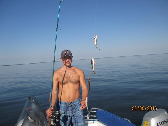 IMG_0882.jpg