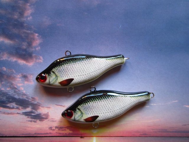 IMG_46140.jpg (81.92 КБ) 2868 просмотров Вот такие.... и уже обрыбил...