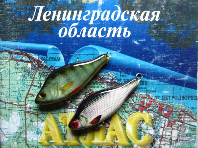 IMG_4641.JPG