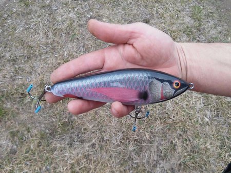 20150326_125922[1].jpg
