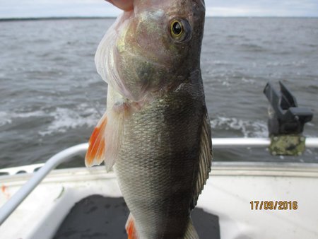IMG_0938.jpg