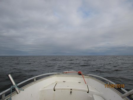 IMG_0939.jpg