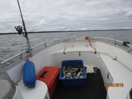 IMG_0945.jpg