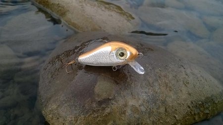WP_20160918_17_02_18_Pro.jpg