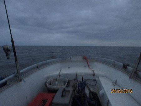 IMG_0949.jpg