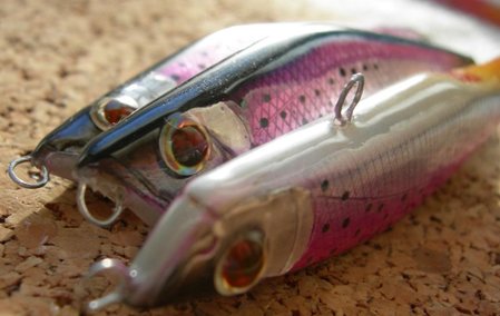 DSCN5230.JPG