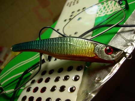 DSCN5260.JPG
