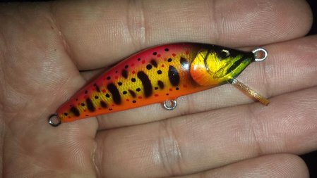 20160920_204952.jpg
