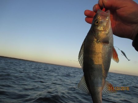 IMG_0960.jpg