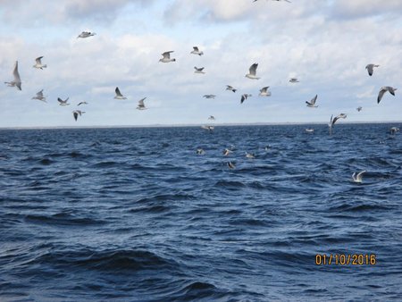 IMG_0974.jpg