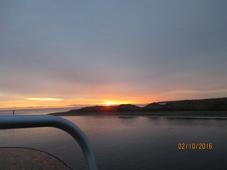 IMG_0979.jpg
